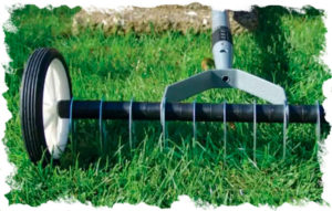 scarifer