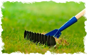 rake-2